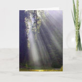 平和と喜び シーズンカード (正面)