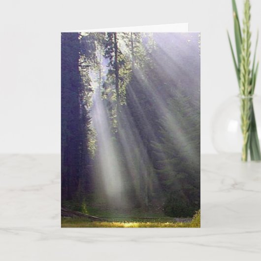 平和と喜び シーズンカード (正面)