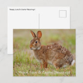 平和と愛とイースター恵み!ポストカード ポストカード (正面/裏面)