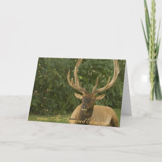 平和なオオシカの性質の挨拶の休日カード シーズンカード (裏面)