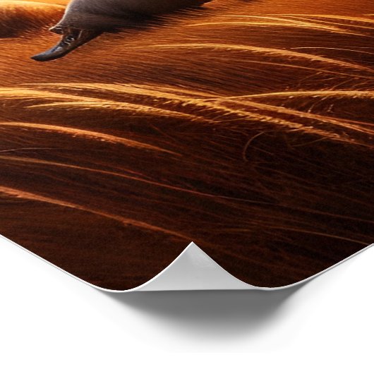 平和な出会い:牧歌的な分野の2つのアールダルク ポスター (角)