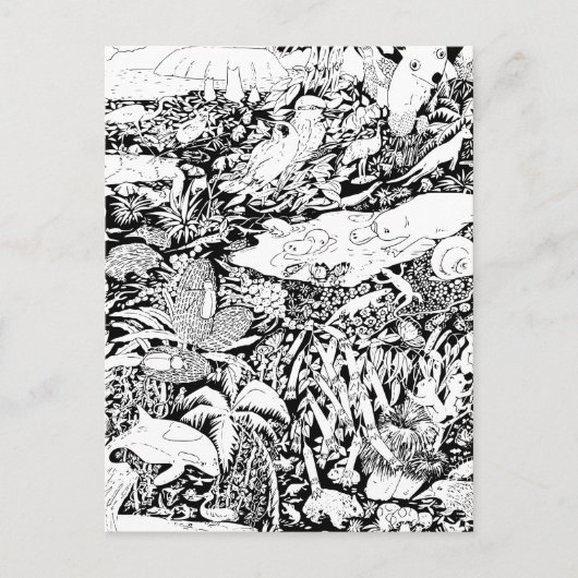 平和な動物たち ポストカード (正面)