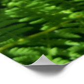 平和な場所 ポスター (角)