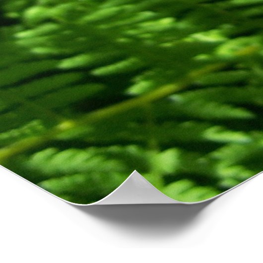 平和な場所 ポスター (角)