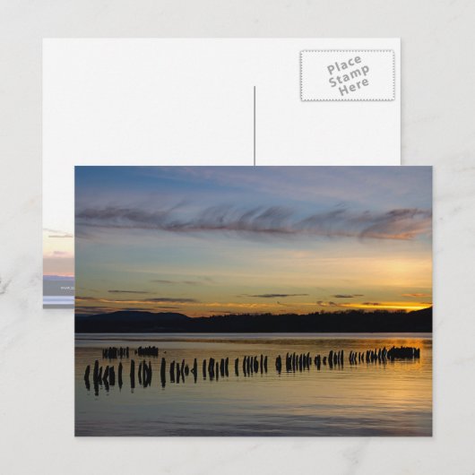 平和な場面 ポストカード (正面/裏面)