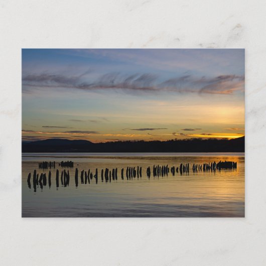 平和な場面 ポストカード (正面)