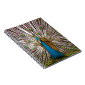 平和な孔雀 ノートブック (右側)