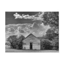 平和な放棄 – 泉走、KY