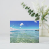 平和な日 |熱帯水 ポストカード (スタンド正面)