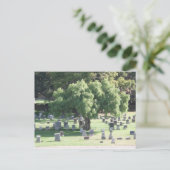 平和な木 ポストカード (スタンド正面)