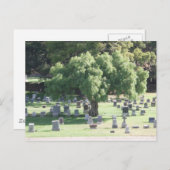 平和な木 ポストカード (正面/裏面)