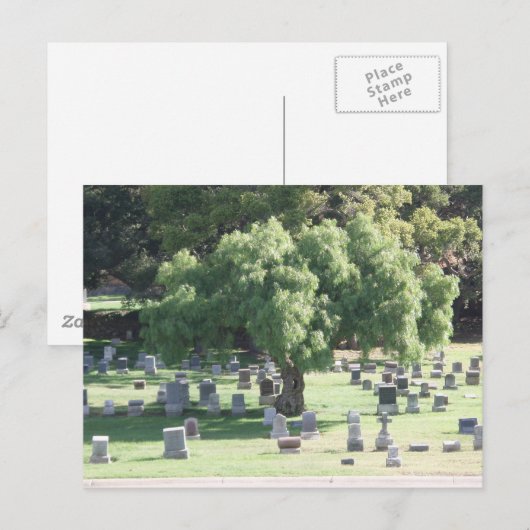 平和な木 ポストカード (正面/裏面)