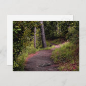 平和な森のトレイル山レンモン ポストカード (正面/裏面)