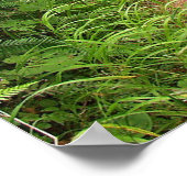 平和な森林歩道 ポスター (角)