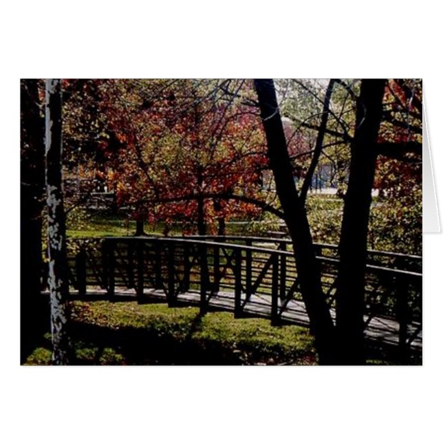 平和な橋 (正面横)