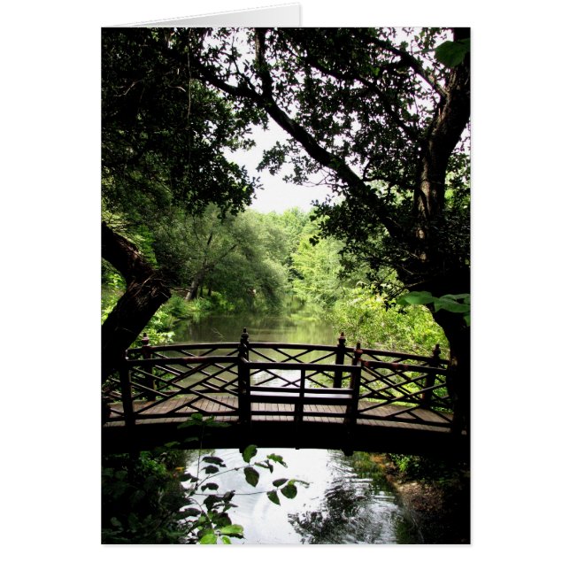 平和な水上の橋 (正面)