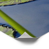 平和な池 ポスター (角)