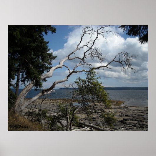 平和な瞬間 ポスター (正面)