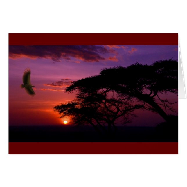 平和な紫色の日没 (正面横)