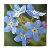 平和な花柄は私をない忘れます タイル (正面)