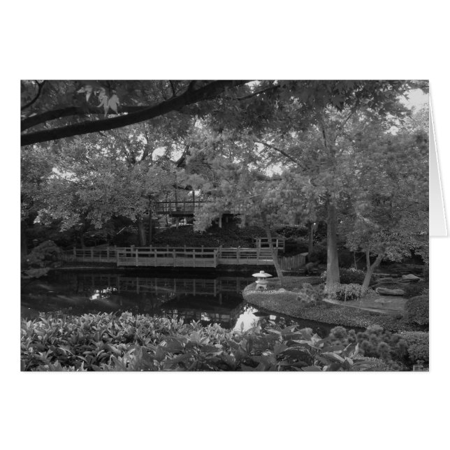 平和な道 (正面横)