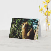 平和な馬場 カード (黄色い花)