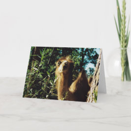 平和な馬場 カード