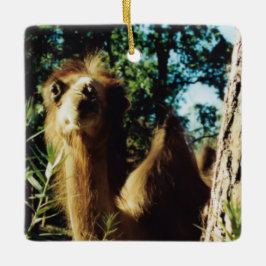 平和な馬場 セラミックオーナメント