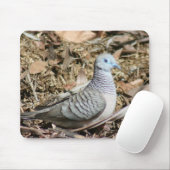 平和な鳩 – Geopelia placida マウスパッド (マウス)