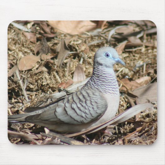 平和な鳩 – Geopelia placida マウスパッド (正面)