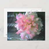 平和の絵はがき ポストカード (正面/裏面)