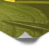 平和の聖書の種子ヤコブ3:17-18 ポスター (角)