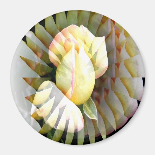 平和の花びら...... マグネット (正面)