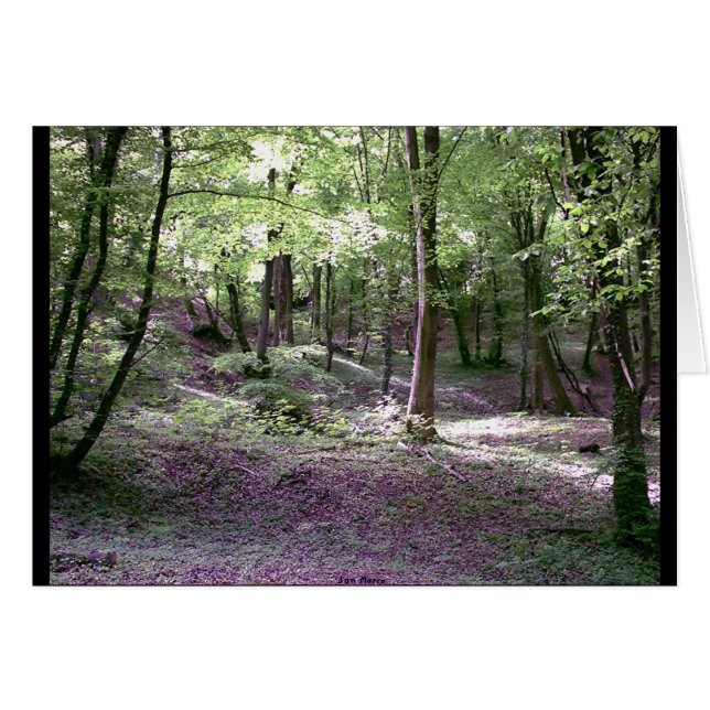 平和の重点 (正面横)