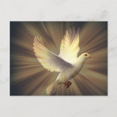 平和の鳩。 ポストカード (正面)