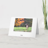 平和への道カスタマイズ*すべての行事 カード (裏面)