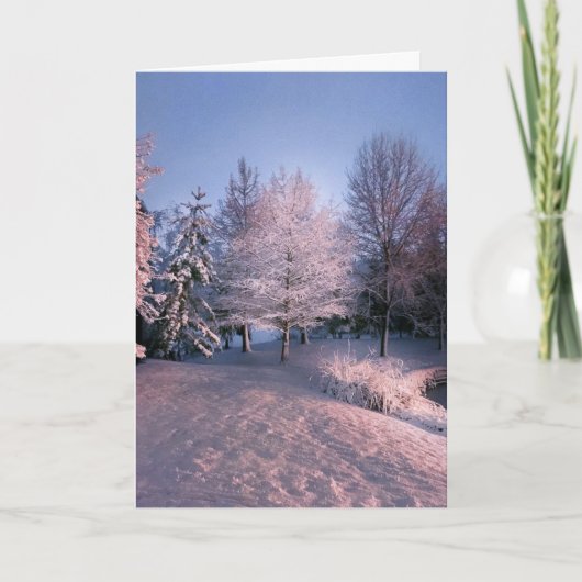 平和を望みますこのクリスマス(カード) シーズンカード (正面)