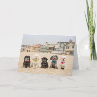 平和オンザビーチ カード