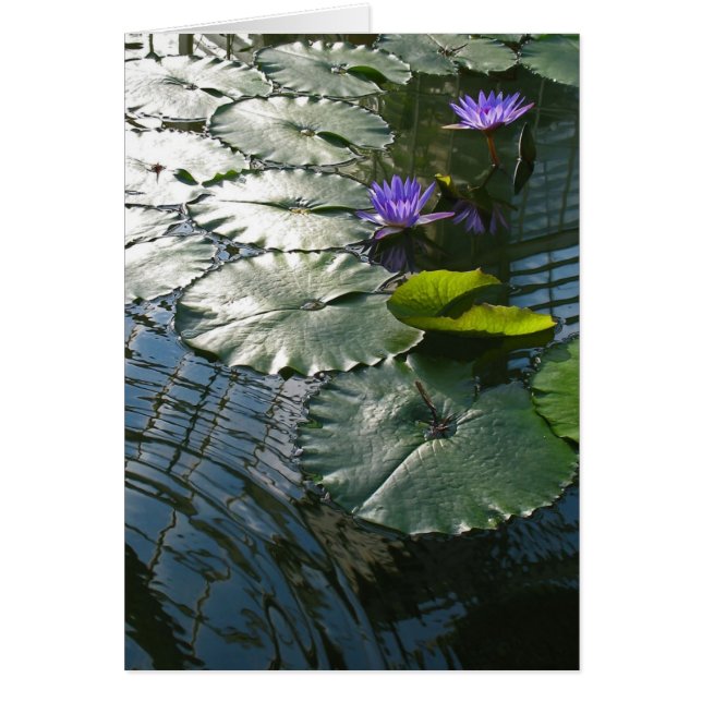 平和カードを見つけること (正面)