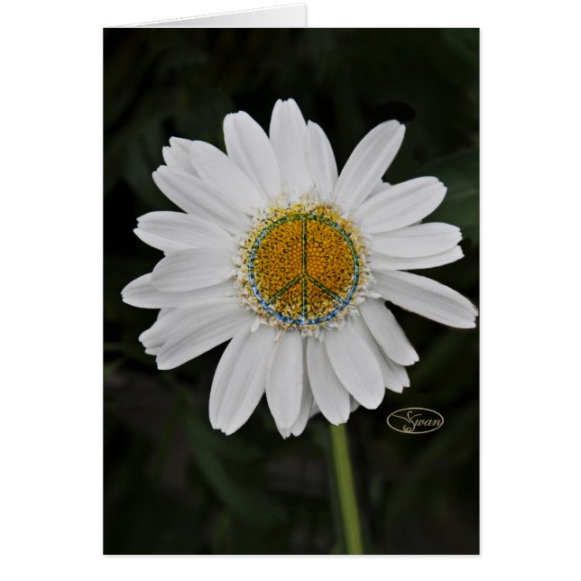 平和デイジー (正面)