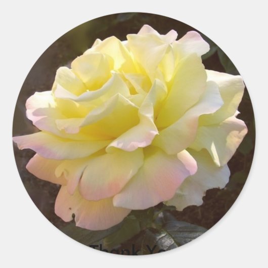 平和バラシール ラウンドシール (正面)