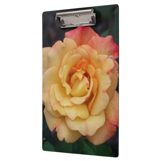 平和バラ美しいピンクと黄色のフローラ クリップボード (左)