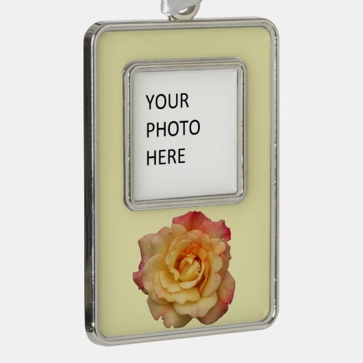 平和バラ美しいピンクと黄色のフローラ シルバープレートフレームオーナメント (右)