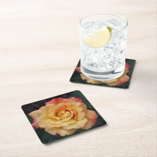 平和バラ美しいピンクと黄色のフローラ スクエアペーパーコースター (インサイチュ)