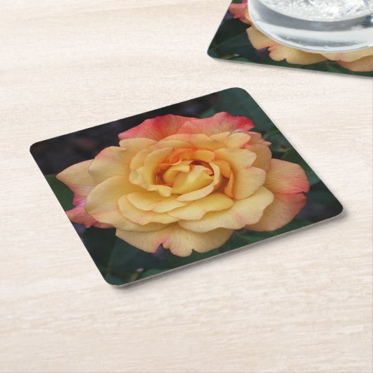 平和バラ美しいピンクと黄色のフローラ スクエアペーパーコースター (アングル)