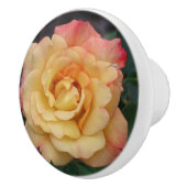 平和バラ美しいピンクと黄色のフローラ セラミックノブ (右)