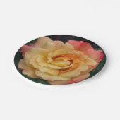 平和バラ美しいピンクと黄色のフローラ ペーパープレート (アングル)