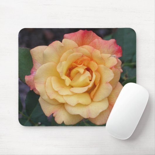 平和バラ美しいピンクと黄色のフローラ マウスパッド (マウス)