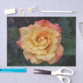 平和バラ美しいピンクと黄色のフローラ 薄葉紙 (クラフト)