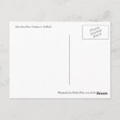 平和バラ ポストカード (裏面)